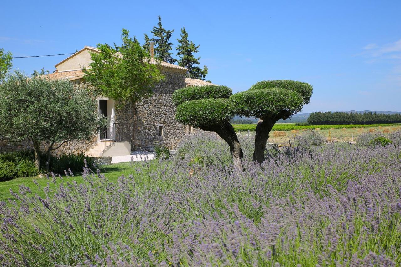 Maison Chenet - Les Chambres Entre Vigne Et Garrigue - Teritoria Pujaut Exterior foto